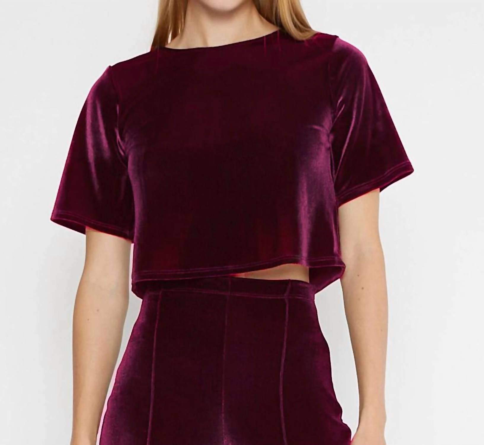 Ripley Rader - Velvet Short Sleeve Top