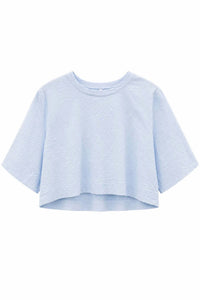 Secular - Women's Violet Top