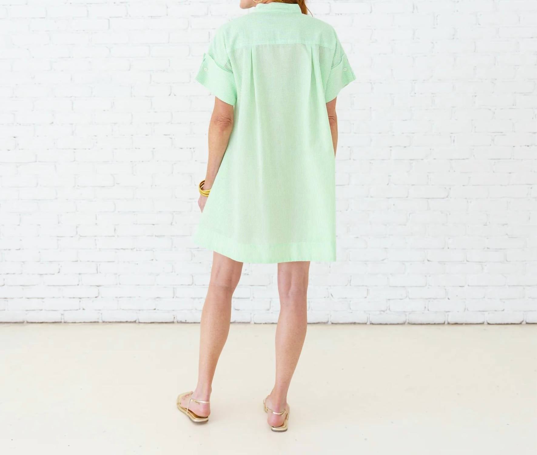 Caryn Lawn - Margo Seersucker Mini Dress