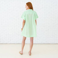 Caryn Lawn - Margo Seersucker Mini Dress