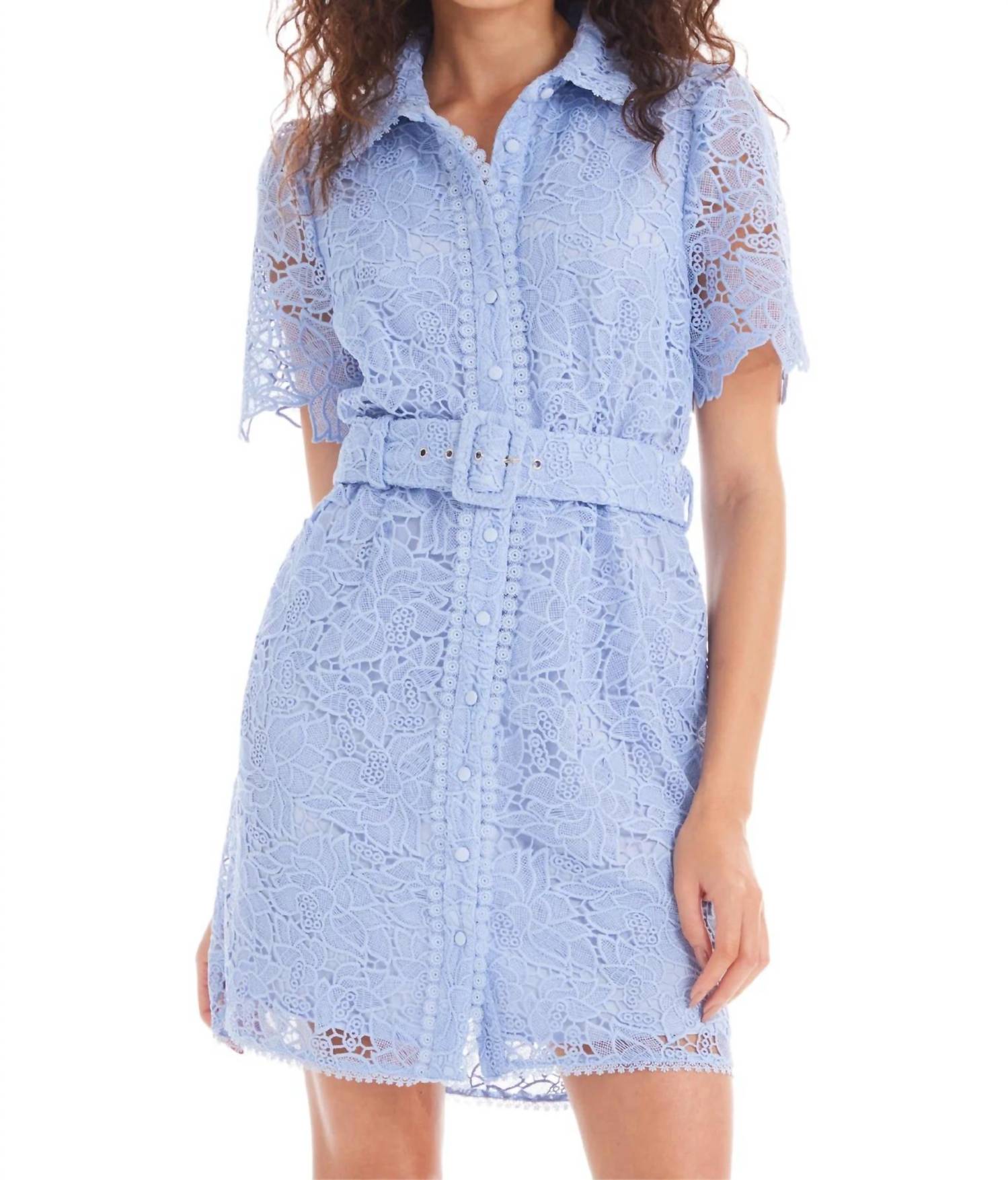 Allison New York - Ruthie Mini Dress
