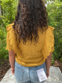 Doe And Rae - Pointelle Knit Top With Ruffle Sleeve