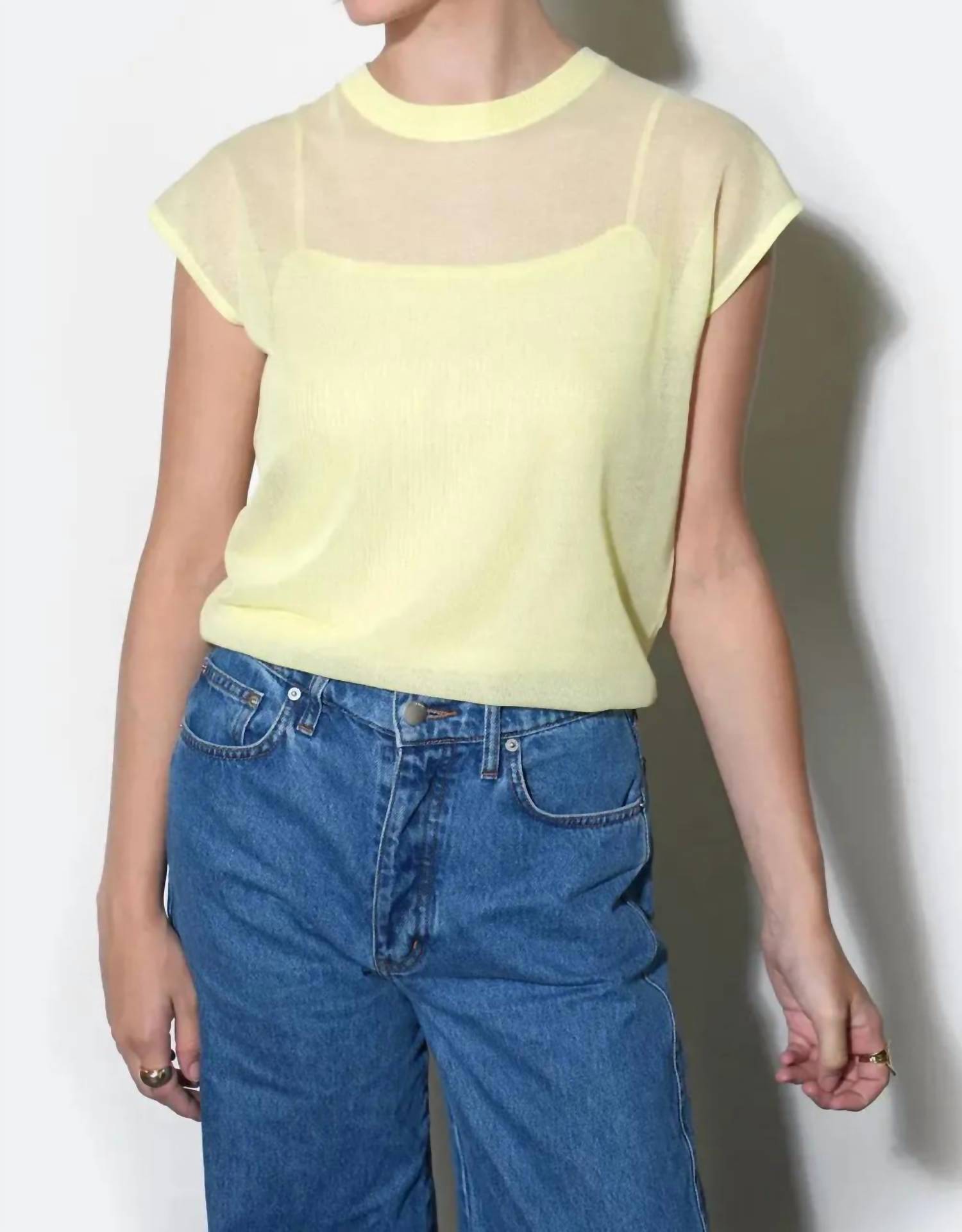 Greylin - Natalia Sheer Bubble Sweater