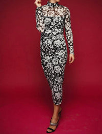 Dominique Long Sleeved Printed Mesh Dress