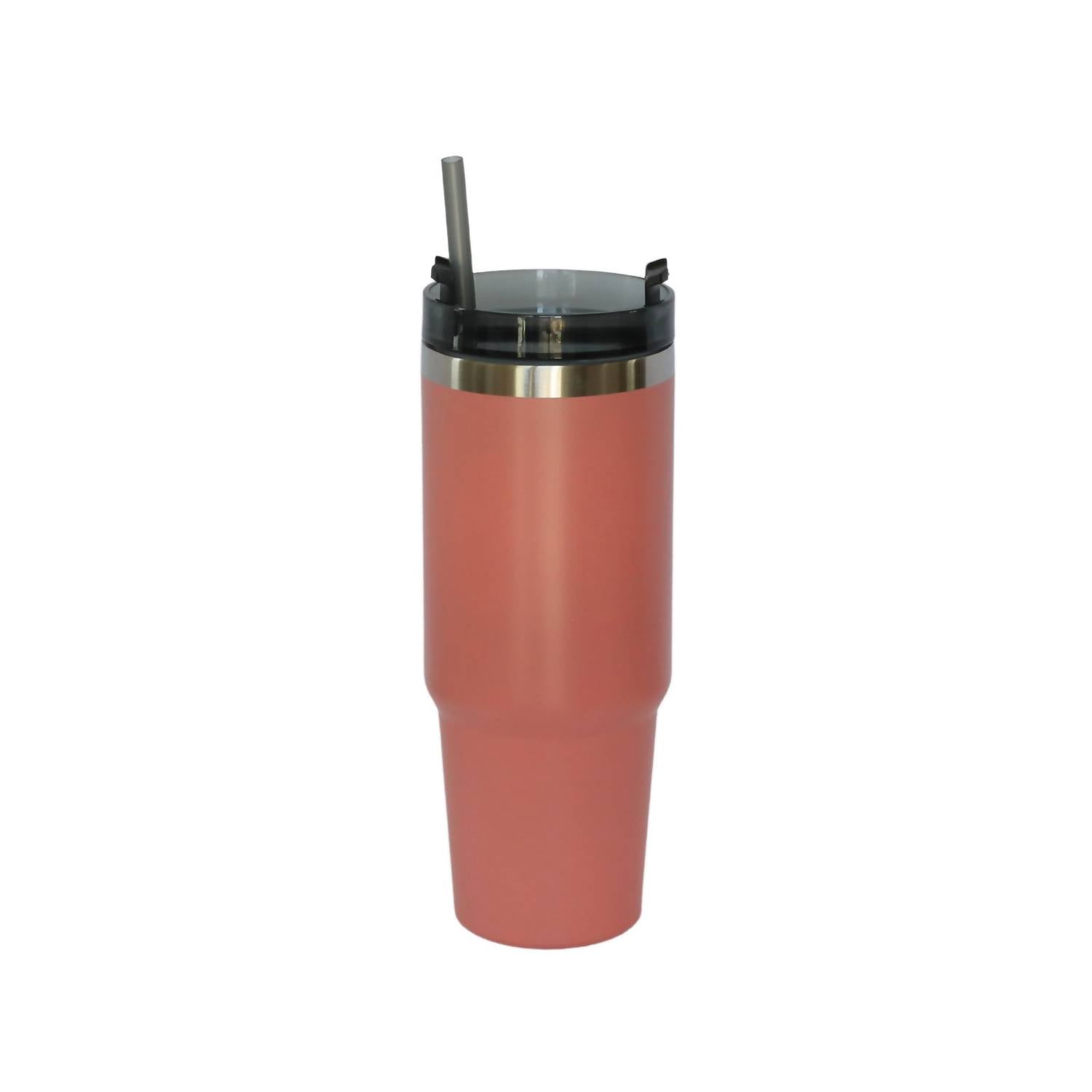 Creative Gifts International - Stainless Steel Tumbler with Straw