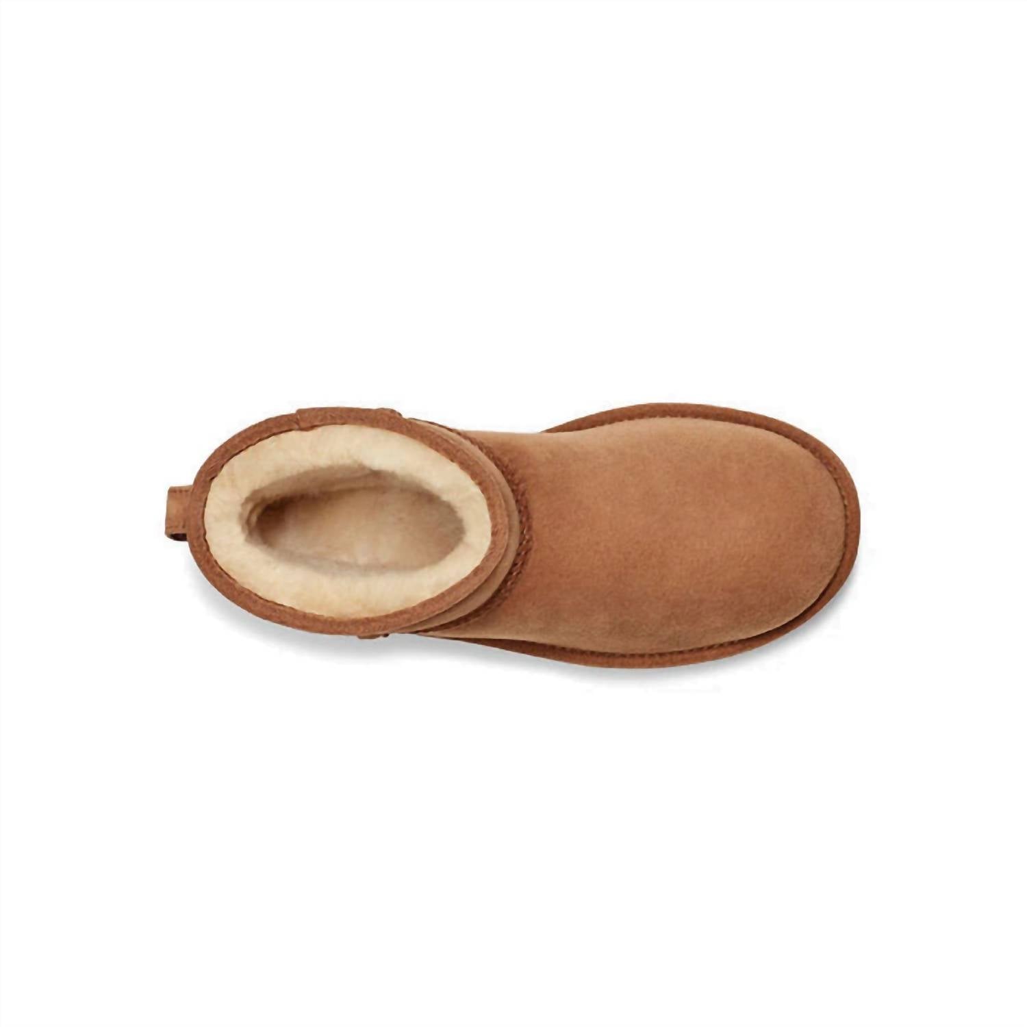 Ugg - Women's Classic Mini Ii Suede Boot