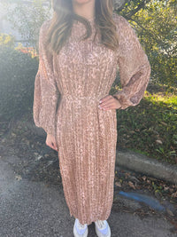 Fate - Damarion Chiffon Dress