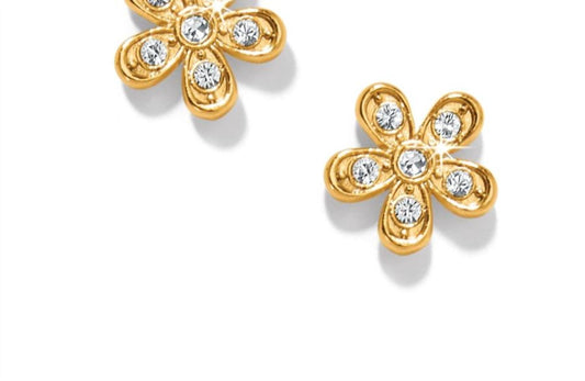 Brighton - Women's Enchanting Flower Post Earrings