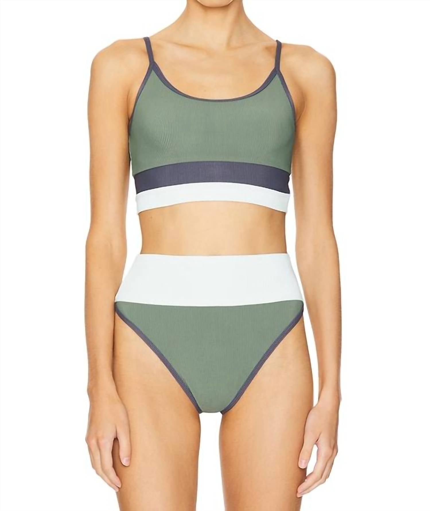 Beach Riot Eva Top in palm paridise - women's intimate