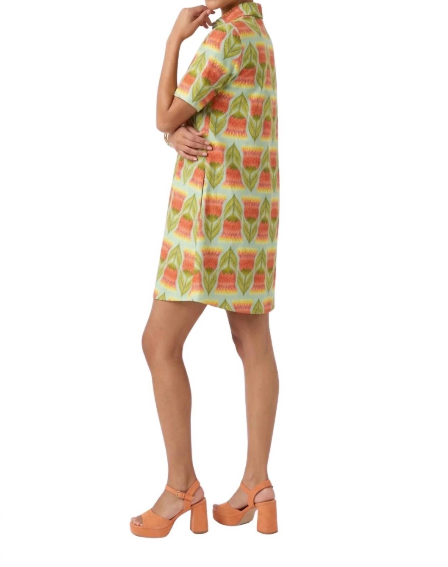 Uncle Frank - Tulips Swing Shirt Dress