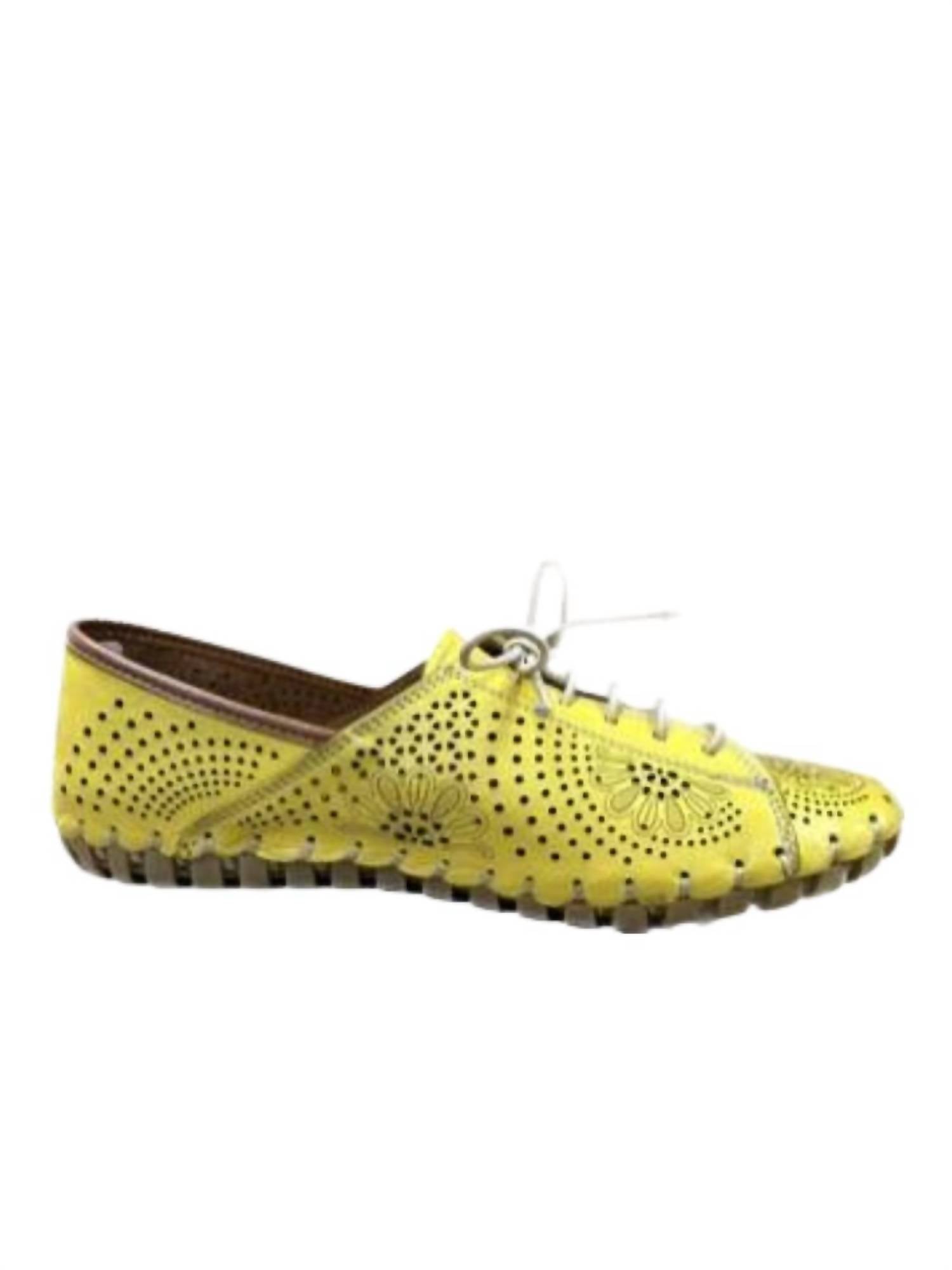 Gelato - WOMEN'S THEORY LACE-UP SHOES