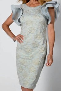 Pleat Sleeve Dress