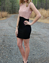 French Connection - Planet Lace Sleeveless Dress