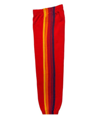 Aviator Nation - Kid's Stripe Sweatpants