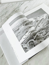 National Book Network - Wild Horses Of Cumberland Island Second