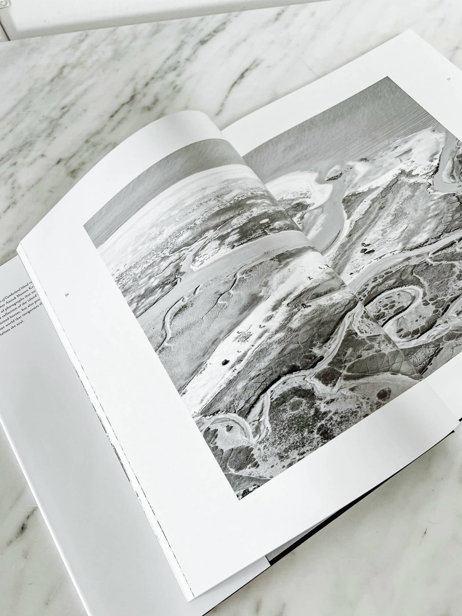 National Book Network - Wild Horses Of Cumberland Island Second