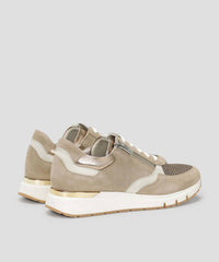 Dorking By Fluchos - Women's Serena Casual Leather Sneakers