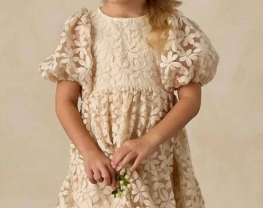 Noralee - Chloe Midi Dress