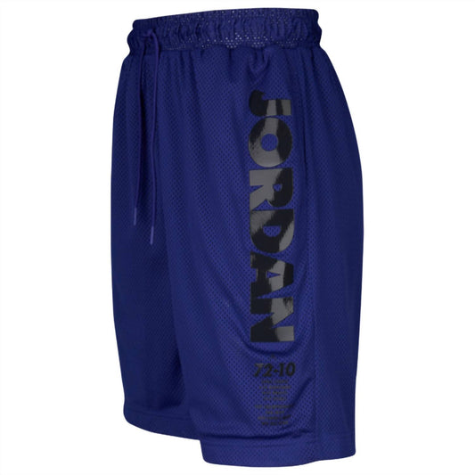 Jordan - Legacy Concord Shorts