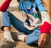 Faherty - Mountain Coaster Crew Sweater