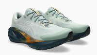 ASICS Men's Novablast Tr Running Shoes in nature bathing lichen rock - men's sneaker