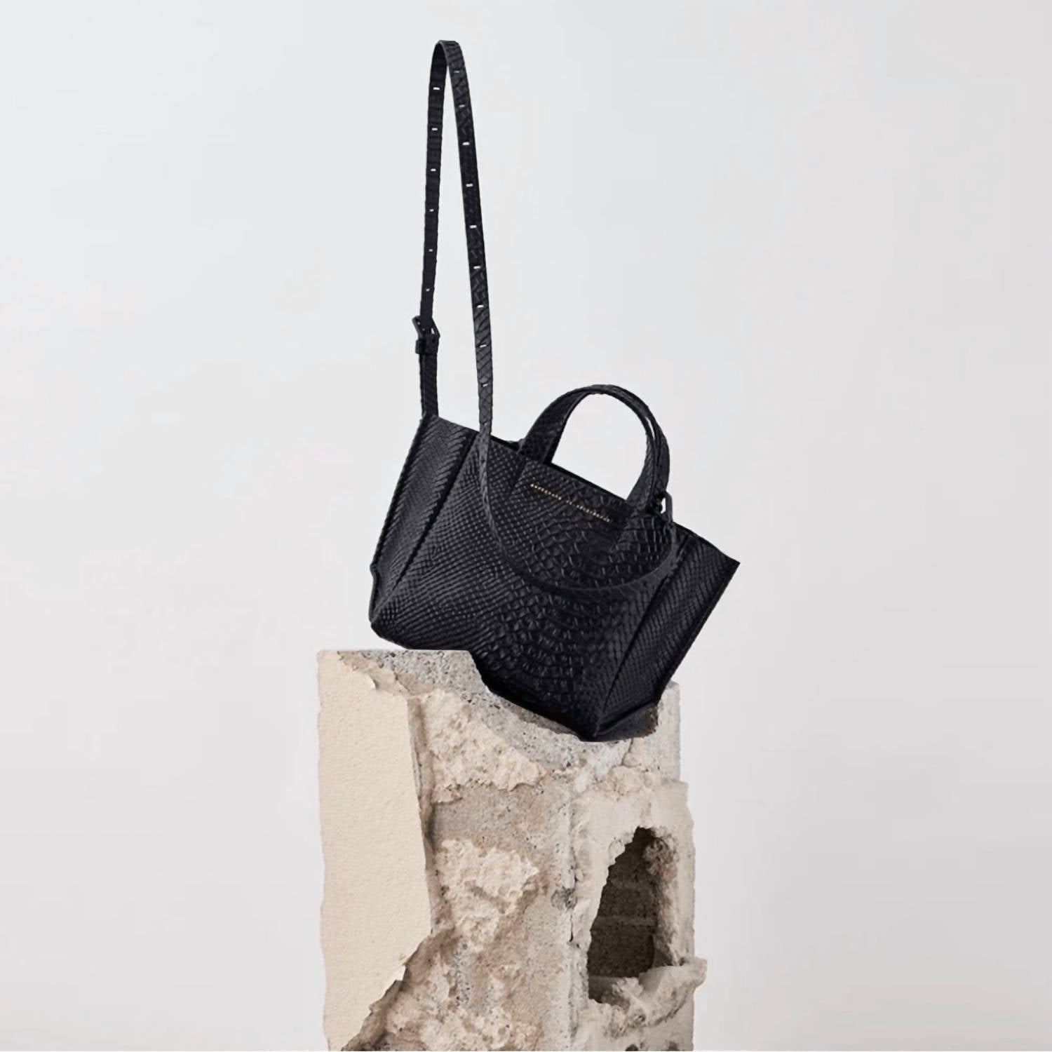 Ampersand As Apostrophe - Women's Leather Python Micro Tote Bag
