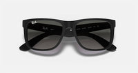 Ray Ban - Men's Justin Matte Sunglasses