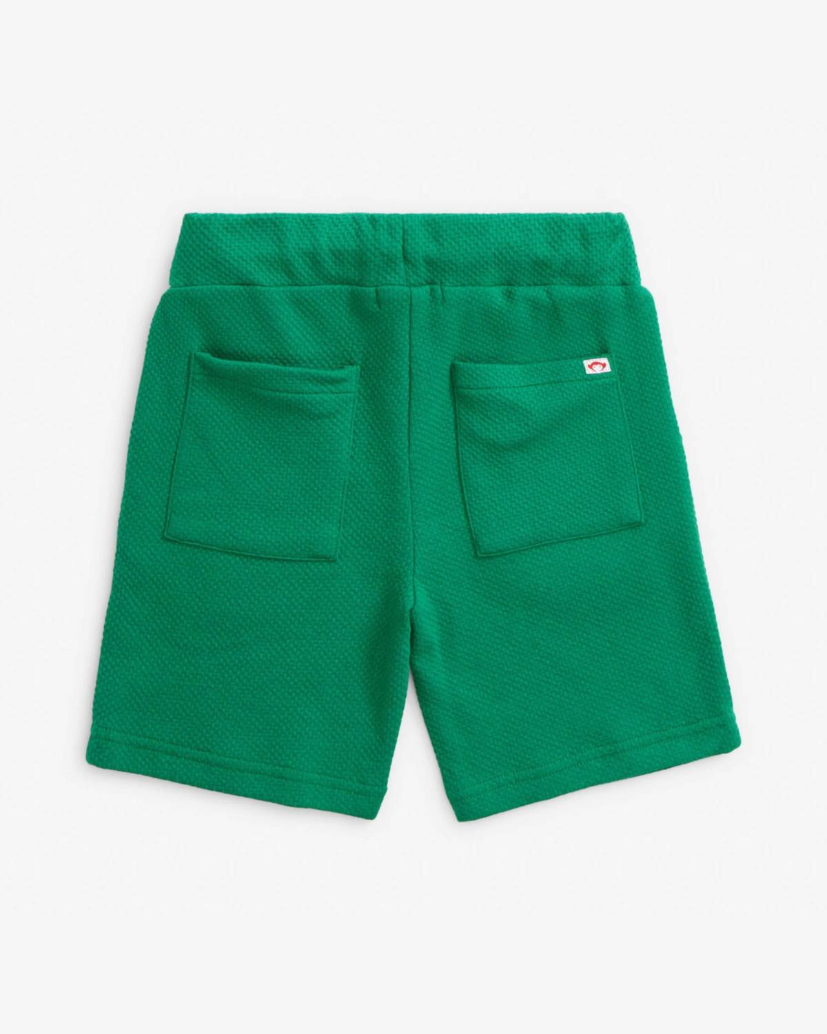 Appaman - Boy's Garden Resort Shorts