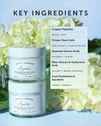 Earth Harbor Naturals - Azure Peptide Smoothing Water Cream