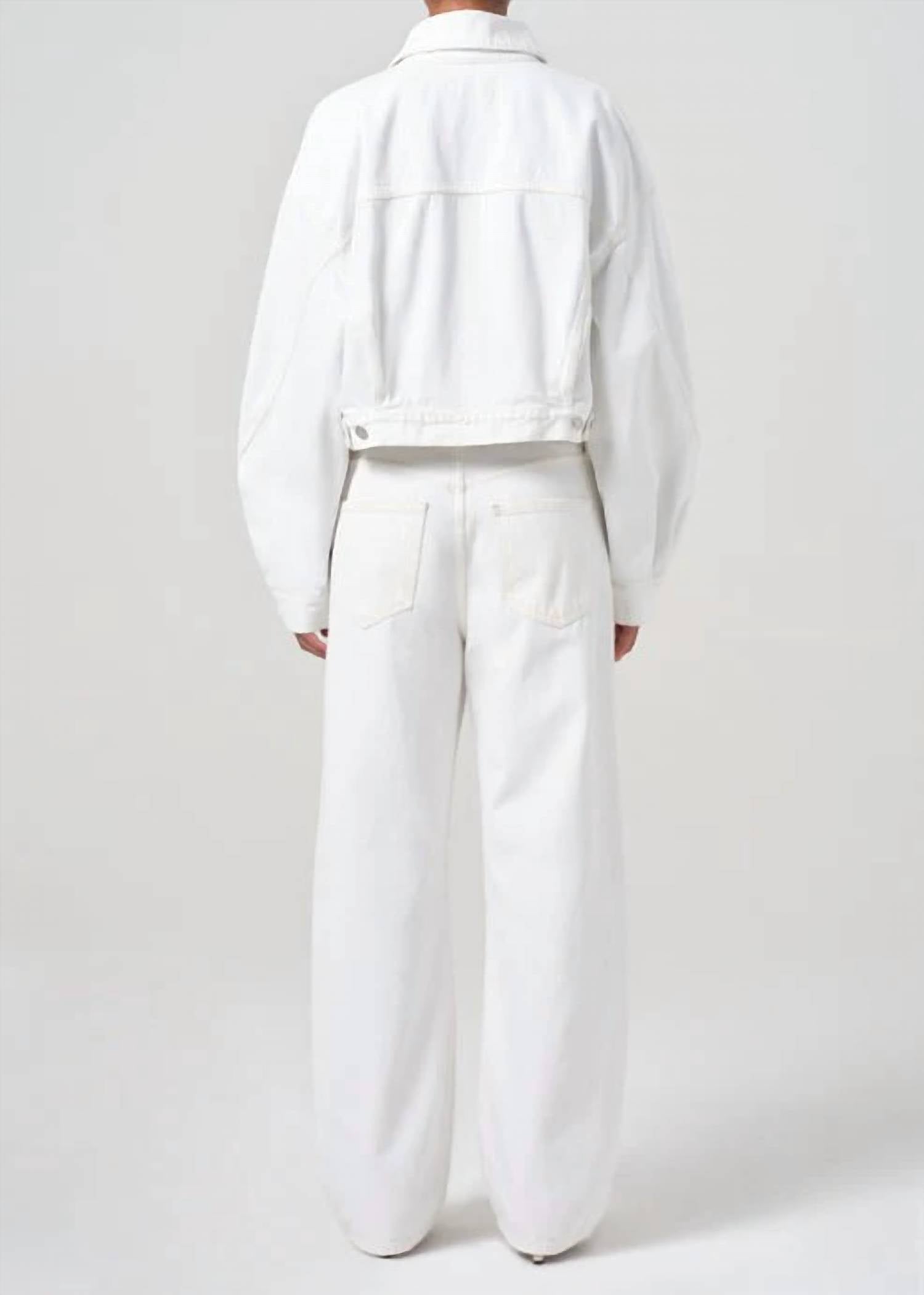 Agolde - Low Curve Barrel Jean
