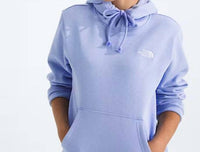 The North Face - Evolution Simple Dome Regular Hoodie