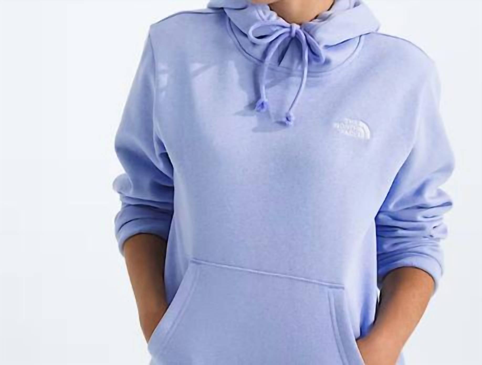 The North Face - Evolution Simple Dome Regular Hoodie