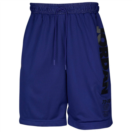 Jordan - Legacy Concord Shorts