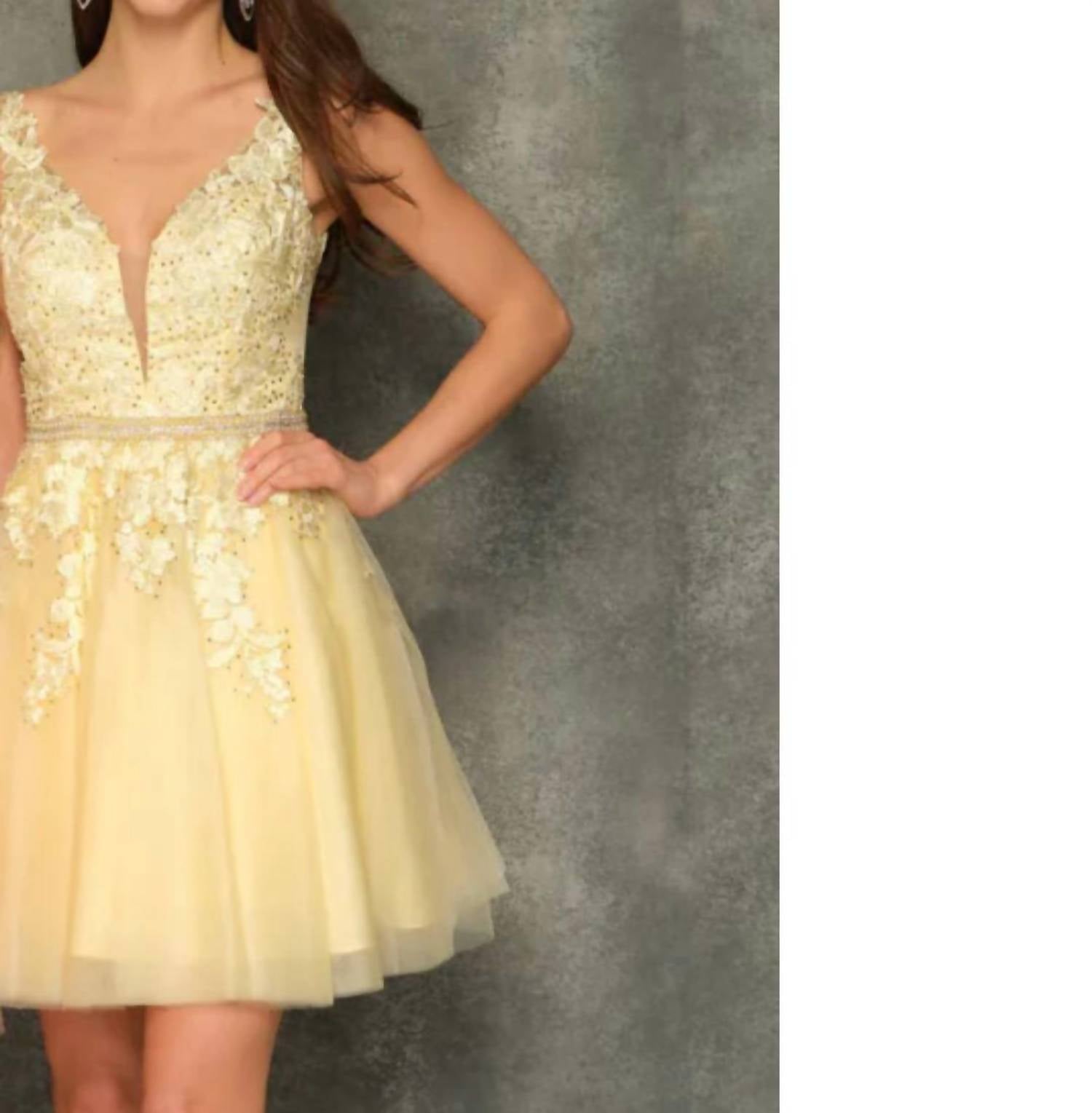 Dave & Johnny - Embroidered Tulle Dress