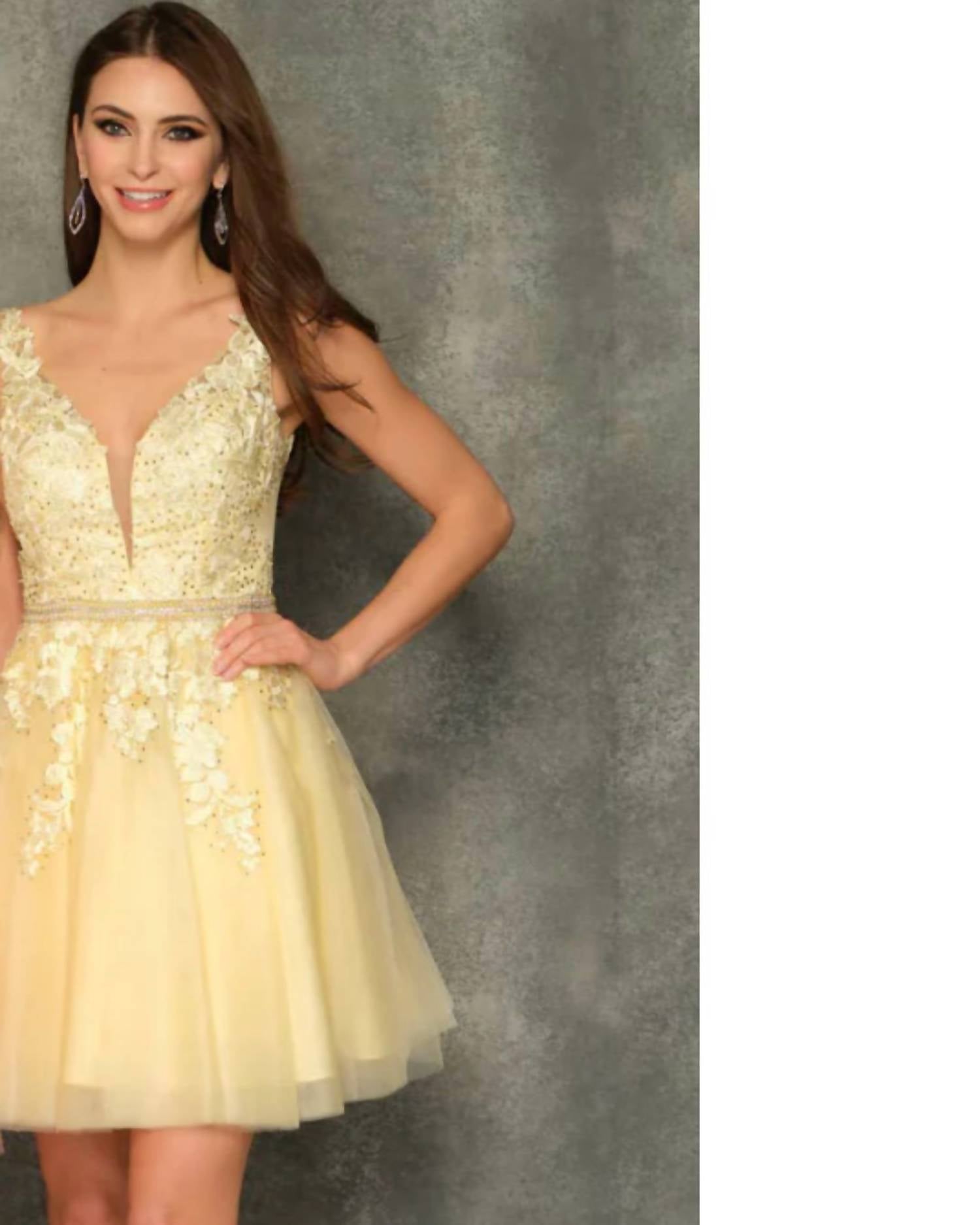 Dave & Johnny - Embroidered Tulle Dress