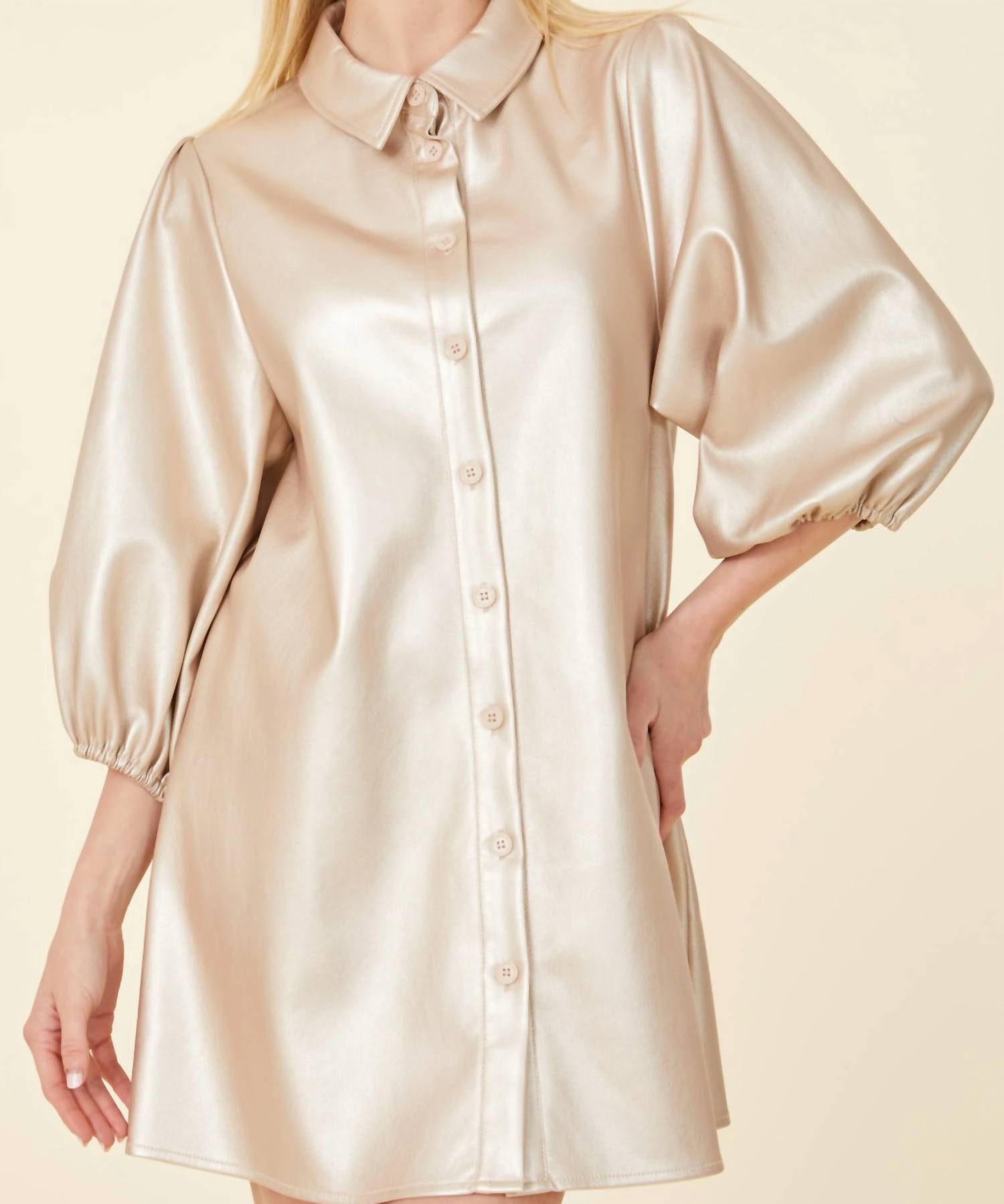 Dolce Cabo - Metallic Faux Leather Puff Sleeve Dress