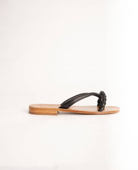 Santa Ynez General - Women's Faraday Thong