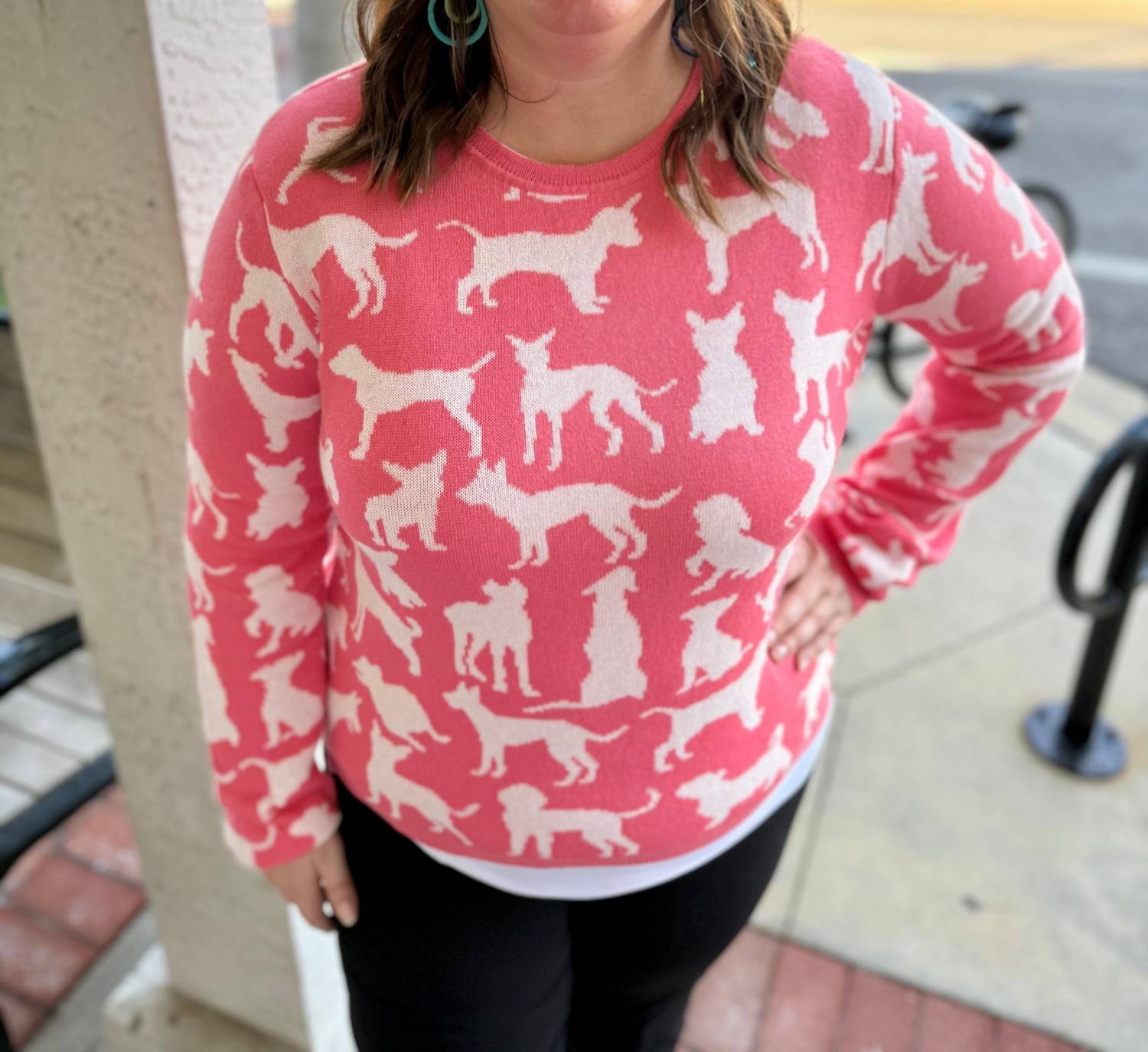 Alashan Cashmere - Dogs Crewneck Sweater