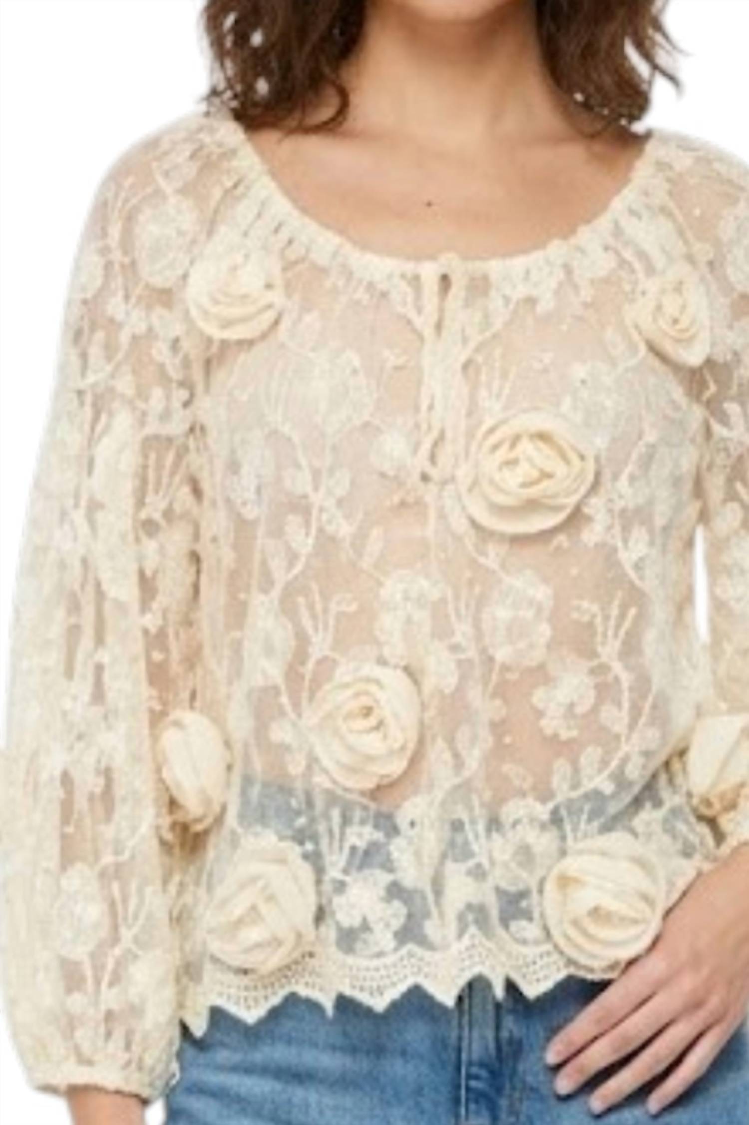 Anna Sui - Long Sleeve 3d Rose Textured Lace Blouse