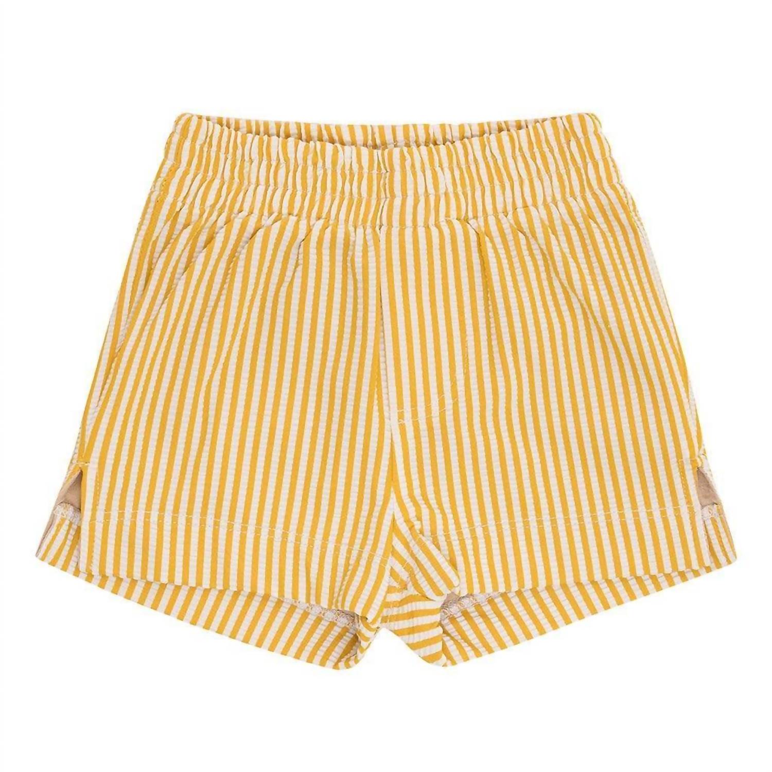 Montce - Boy's Mini Swim Trunk