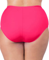 La Blanca - Hi-Rise Swim Bottom - Plus