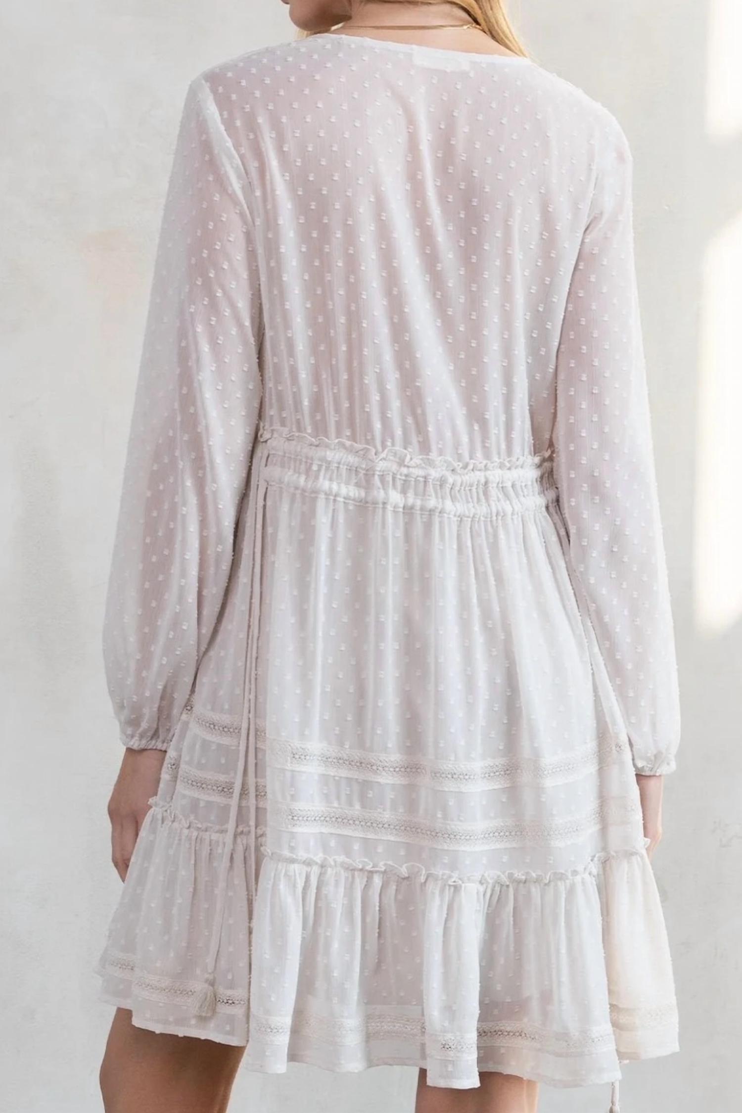LOVESTITCH Women's Dreamy Sheer Swiss Dot Long Sleeve Mini Dress in gardenia - women's dress - detail view