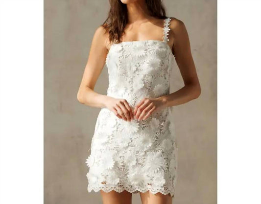 Storia - Summer Soiree Floral Dress