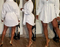 The Sang - Button Down Shirt Dress