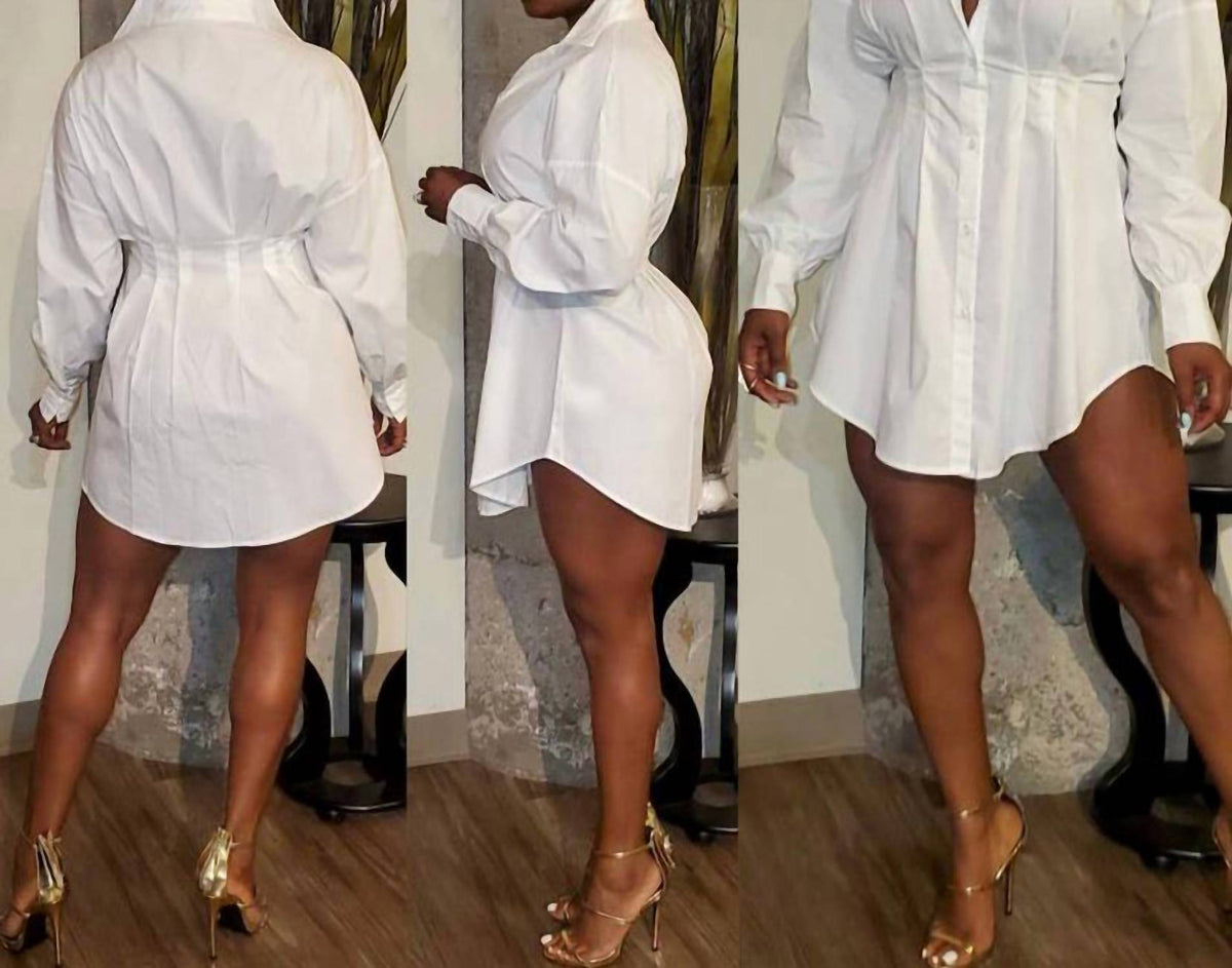 The Sang - Button Down Shirt Dress