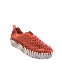 Ilse Jacobsen - Women's Platform Tulip3373 Flats