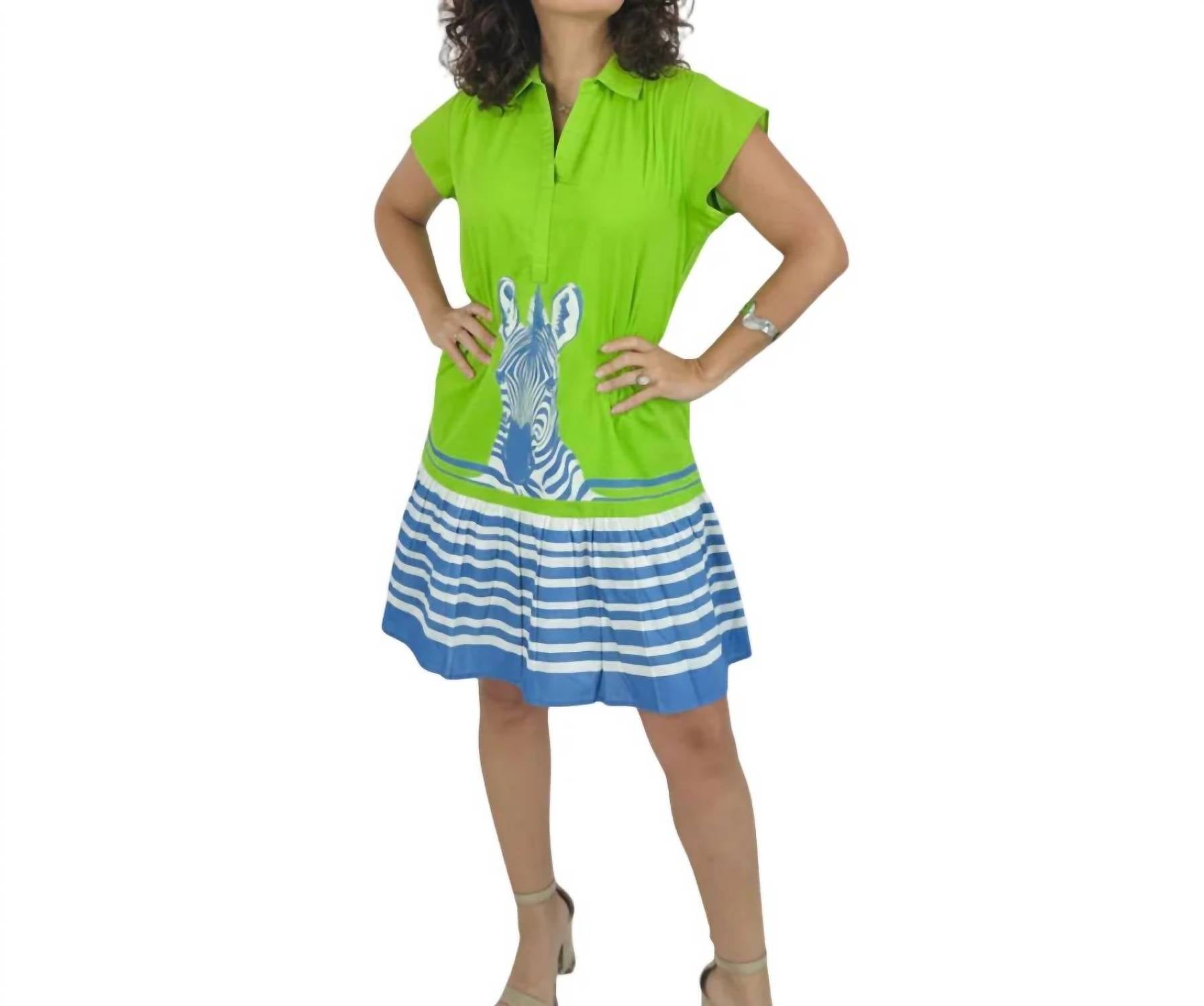 Islapayal - Havana Mini Dress