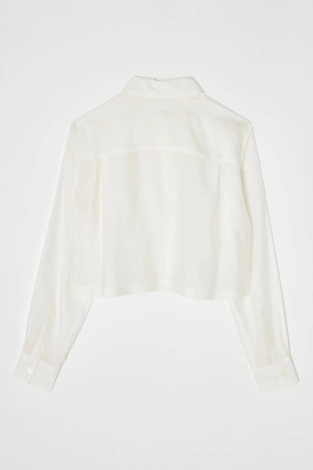 Moussy - Women's Vintage Basic Cropped Shirt