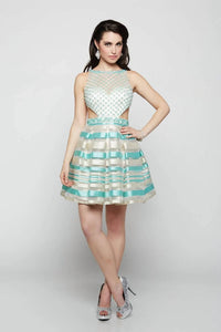 Last Dress - Pearl Net Tiffany Stripe Dress