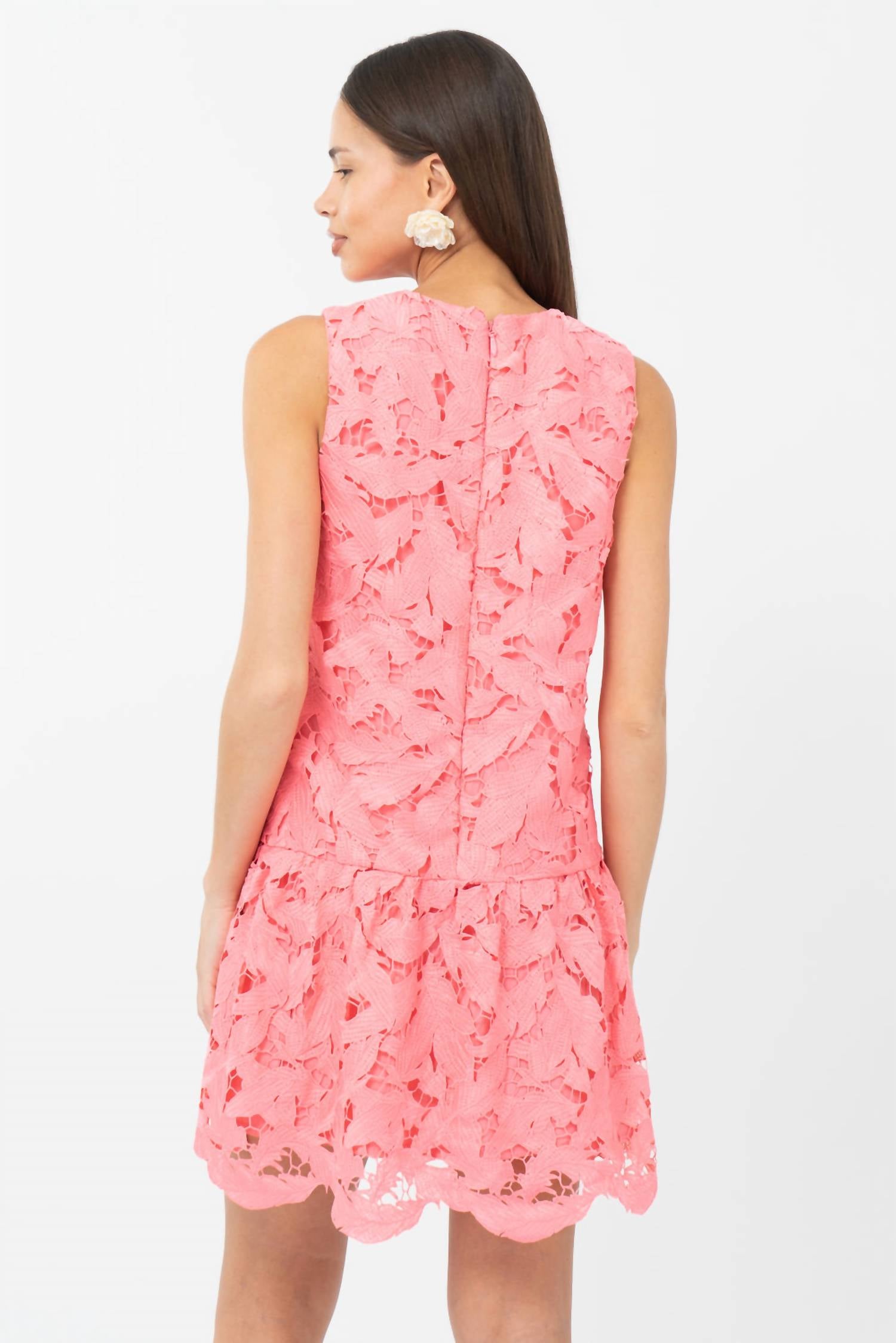 Adelyn Rae - Francesca 3D Lace Drop Waist Mini Dress